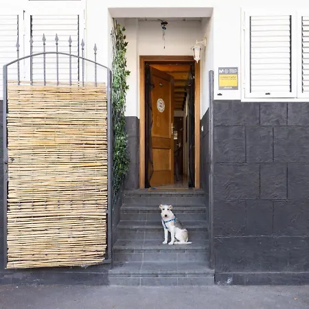 San Borondon By Interhome Lejlighed
